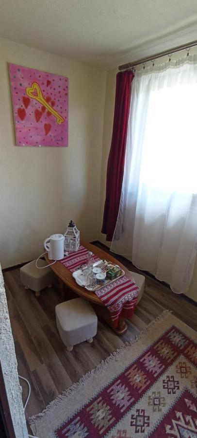 Dumi'S House Apartment Borsa  Bagian luar foto
